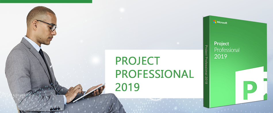 Microsoft Project Professional 2019