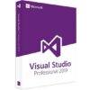 visual studio professional 2019