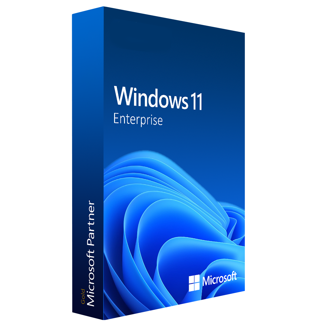 Windows 11 Enterprise (5pc)